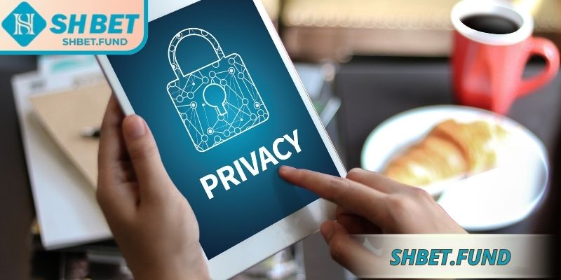 Thông tin chính trong chính sách bảo mật SHbet 
