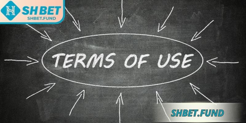 Trách nhiệm của thành viên trong chính sách sử dụng