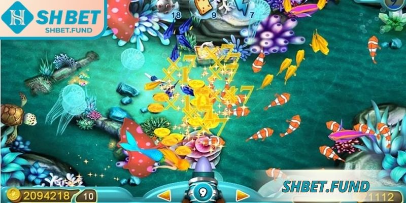 Quy trình kích hoạt thưởng đại dương vận hành theo chu kỳ biến đổi đặc biệt
