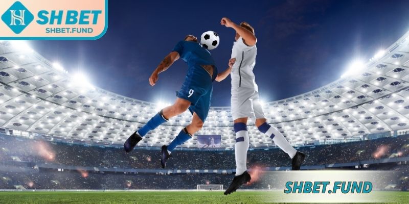 Cách đọc kèo 1/2 SHbet cho người mới