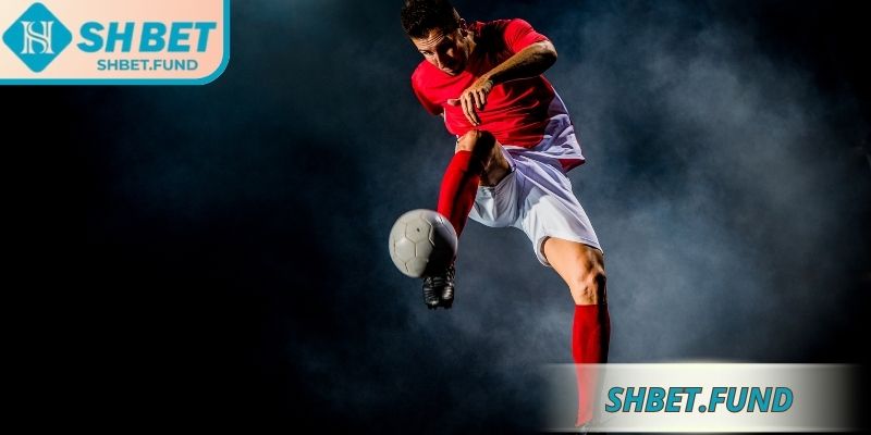 Giới thiệu kèo 1/2 SHbet
