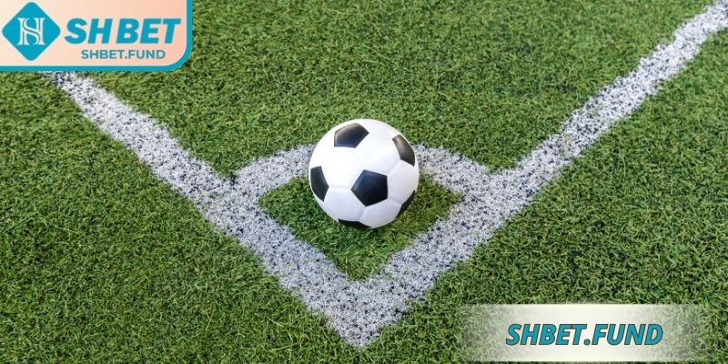 Giới thiệu kèo góc SHbet
