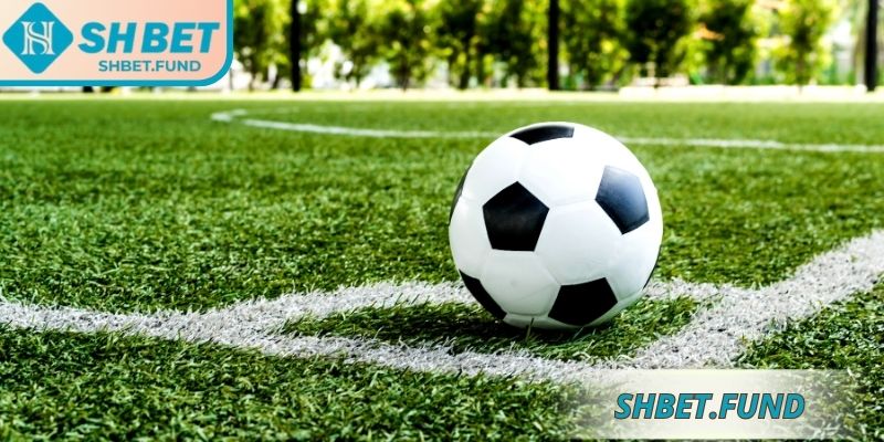 Kèo Sớm SHbet - Bí Quyết Săn Tỷ Lệ Thắng Cao Cho Tân Thủ 2 Một số hình thức kèo sớm SHbet phổ biến