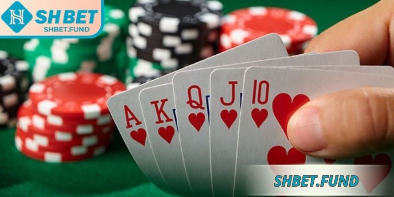 Xì tố SHbet hướng dẫn phân tích bài trên tay, chọn bước đi đúng đắn